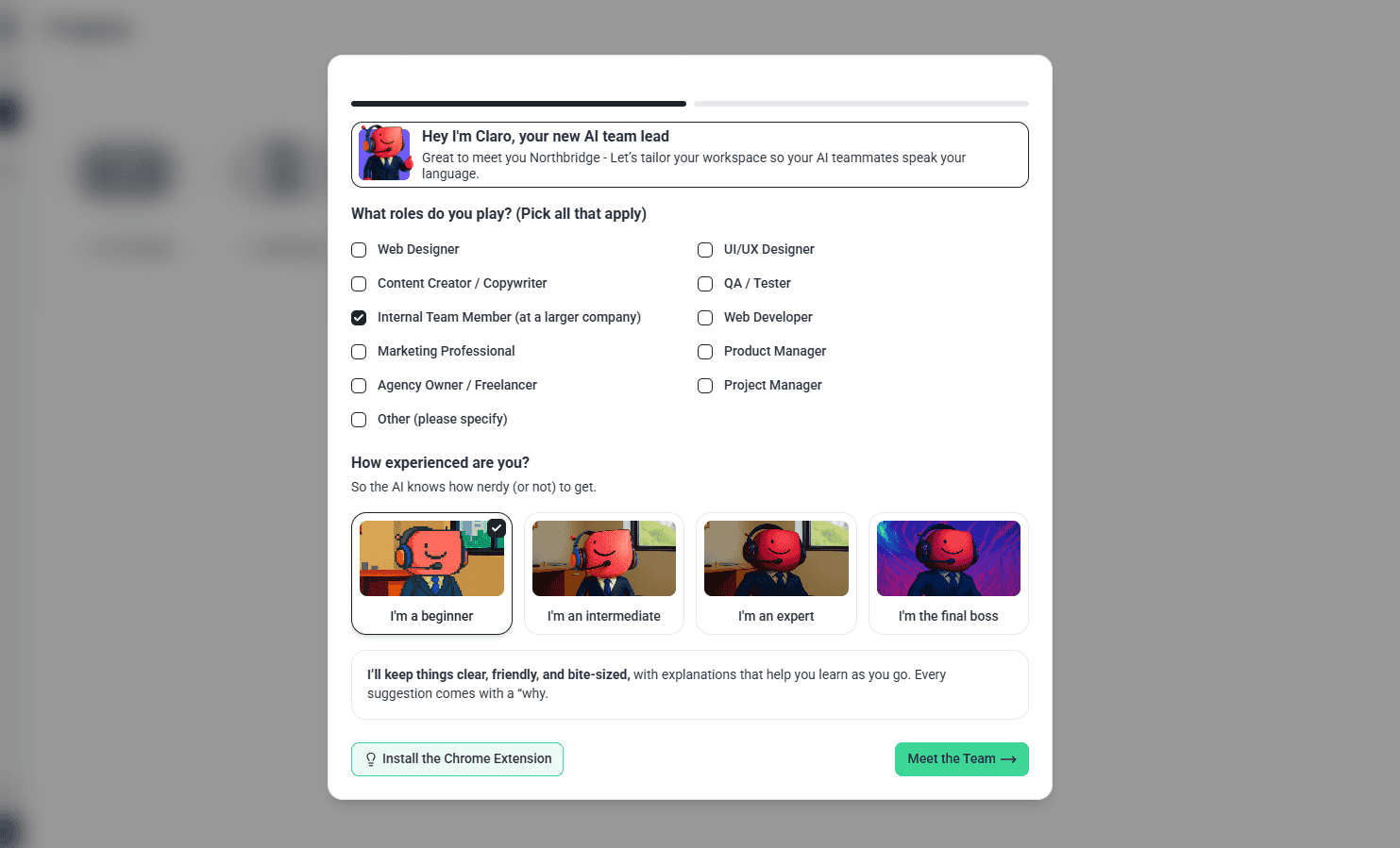 Role and experience level selection for a Website Owner