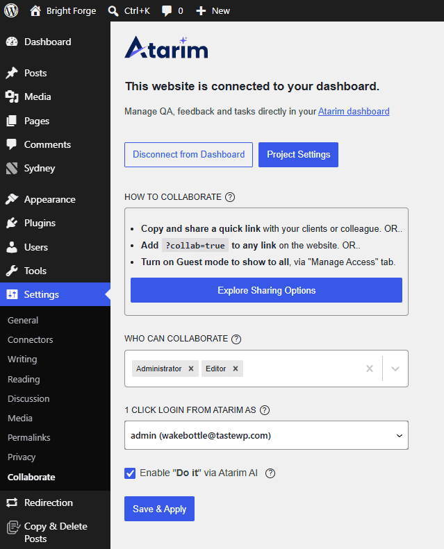 Project settings and collaboration options opened from the WordPress plugin
