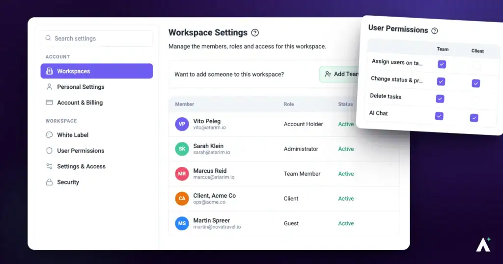 Atarim workspace members list with roles and access