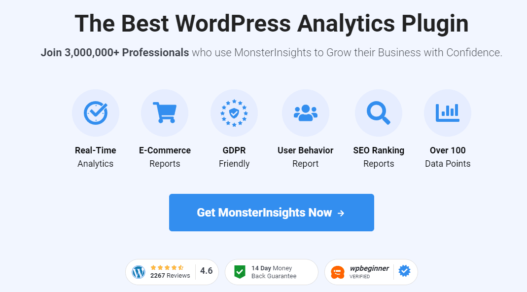 monsetinsights homepage