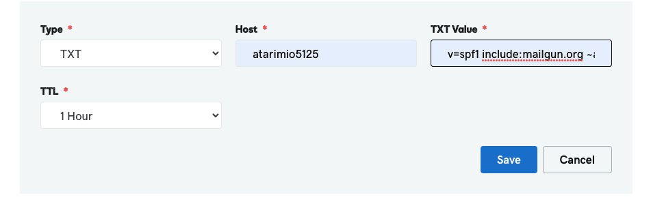 SPF record entry in the DNS records table