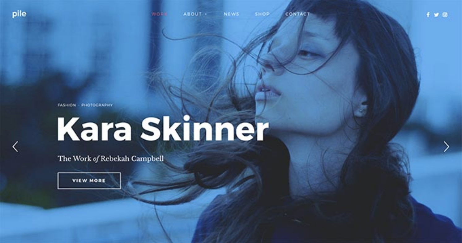 WordPress Portfolio Themes